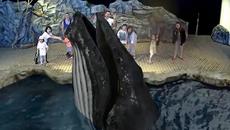 Нови технологии ни отвеждат в приказен свят (ВИДЕО) - Videoclip.bg