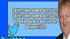 DekoTV  - Twitter logo named after Larry Bird who used to play for the Boston Celtics - Videoclip.bg