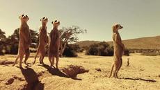 Въображението е по-важно от знанието. - Videoclip.bg