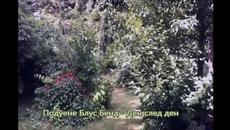 Подуене Блус Бенд Ден след ден - Videoclip.bg