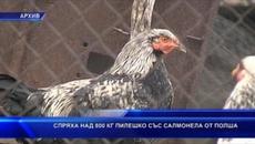 Спряха над 800 кг пилешко със салмонела от Полша - Videoclip.bg