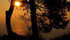 ***  СИЛУЕТИ *** - Videoclip.bg