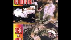 Патилата на Спас и Нели / The Spas and Nelly Patils - България / Bulgaria (1987) - Videoclip.bg