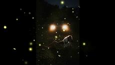 The Stumble - Only You - Videoclip.bg