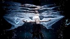 The Stumble ♛ Freedom Like A Woman ♫ R ♫ ♛ - Videoclip.bg