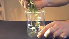 Експеримент от Русия! Как да добием злато от старият си компютър (видео) - Videoclip.bg