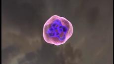 Българският принос 2020 г.в превенцията с коронавирус COVID - 19 - Videoclip.bg