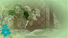 ✿ Пролетта е тук ✿ - Videoclip.bg