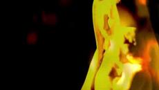 PALO Al Monte Musica Cubana Salsa Jazz Funk - Videoclip.bg