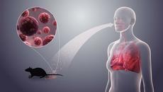 Нов вирус уби мъж в автобус Китай 24 март 2020 (Хантавирус) Man in China hantavirus - Videoclip.bg