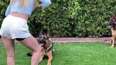 Стопанка с кучетата си ! - Videoclip.bg