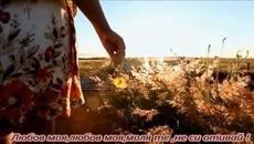 Gipsy Kings - No Volvere (Amor Mio) -  С вградени BG субтитри - Videoclip.bg