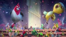 #DanceStationTV: Латино и Бални танци трейлър - Videoclip.bg