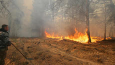 Пожар в Чернобыльской зоне подбирается к ЧАЭС / 2020 г. - Videoclip.bg