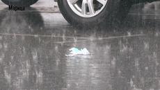 Силен дъжд с градушка и гръмотевици се изсипаха вчера над Пловдив - Videoclip.bg