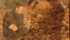 Βαλάντης - Θα σε ξεχάσω - ще те забравя - Videoclip.bg