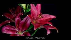 Cayo - Dreamin feat. Eirini Cayo ❇️ (Official Lyric Video) - Videoclip.bg