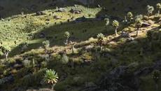 Hakuna Matata (From The Lion King) - Videoclip.bg