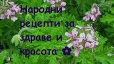 Изпробвани рецепти за здраве и красота :) / Homemade recipes for beauty and health :) - Videoclip.bg