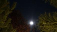 Кошмарное Полнолуние ведьм в Германии. - Videoclip.bg