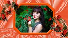 Александр Закшевский   -   Рябиновые ночи - Videoclip.bg