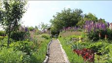 Ботаническа градина Борика - Ихтиман, София, България - Videoclip.bg