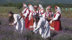 Празникът на лавандулата събра гости от Германия, Русия и България(видео) - Videoclip.bg