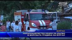 Парапланеристка кацна на дърво в Бургас - Videoclip.bg