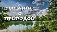 С Добрым утром! ❤️Наедине с природой... ❤️Красивая музыкальная открытка!❤️ - Videoclip.bg