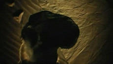 Offer Nissim & Maya – „Holding On“ (творческа интерпретация) - Videoclip.bg