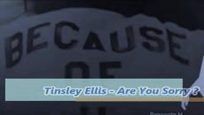 Tinsley Ellis - Are You Sorry ?  / С ВГРАДЕНИ BG СУБТИТРИ - Videoclip.bg