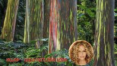 Ishtar Alabina - Horchat Hai Caliptus - Videoclip.bg