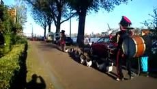 Патици маршируват във Амстердам - Videoclip.bg - Videoclip.bg