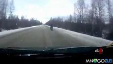 Смях или не!? Да се утрепаш заради 2 патици на пътя - Videoclip.bg - Videoclip.bg