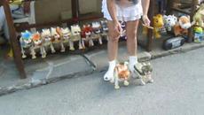 Танца на котките .. Моето щастливо Лято!!! Слънчев Бряг, Несебър и Равда - Videoclip.bg