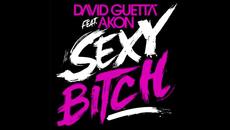 David Guetta ft Akon - Sexy Bitch (HQ) - Videoclip.bg