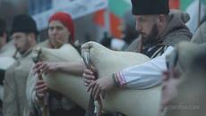 Българския флаг ( Откъси от протеста срещу Бойко Борисов) - Videoclip.bg