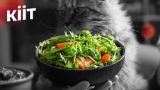 Лінивий салат цього літа! + Секретна Заправка | Прості рецепти салатів — КІІТ, # 31 - Videoclip.bg