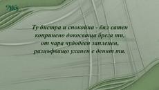 Аз никому нищо не дължа - Videoclip.bg