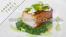 БАНИЦА СЪС СЬОМГА || Андре Токев - Videoclip.bg