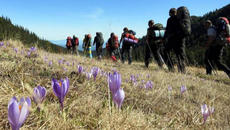 Бг Превод! Новият филм на Deuter BECOMING A GUIDE или „КАК СЕ СТАВА ВОДАЧ“ - Videoclip.bg