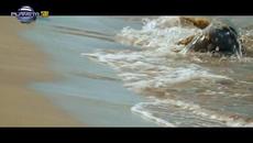 TATYANA - DOBRE DOSHLA, LYUBOV - REMIX Татяна - Добре дошла, любов - ремикс, 2020 - Videoclip.bg