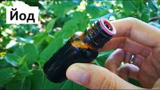 Йод в градината - Videoclip.bg