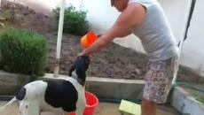 Лятна баня - Videoclip.bg