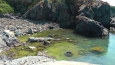 Защо Христо Иванов няма да отиде на Буджака в Созопол - Videoclip.bg