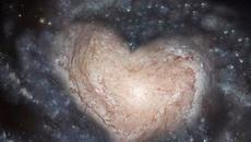 Роси и Камен – „Н А Д Л Ю Б О В“ (поезия) - Videoclip.bg