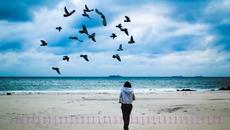 Craig Armstrong feat Liz Fraser - This Love - Videoclip.bg