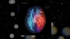 Напомняйки ми да живея !!! RARE FUTURES (formerly Happy Body Slow Brain) //// Reminding Me To Live - Videoclip.bg