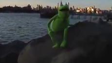 Кермит пее - Ню Йорк, обичам те, но ме сваляш!!! New York, I Love You But You're Bringing Me Down - Videoclip.bg