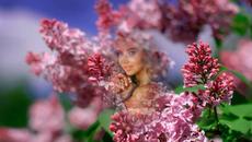 Дмитрий Шабанов - Души сирень - Videoclip.bg